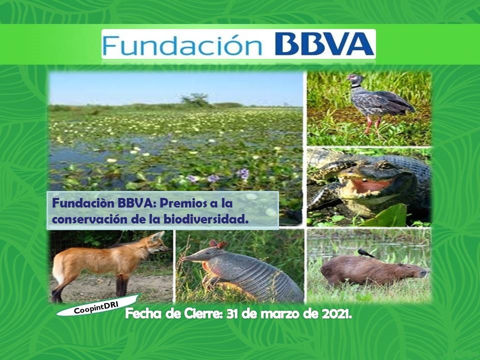 Fundaci%c3%b3n_bbva_premios_a_la_biodiversidad
