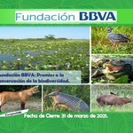 Fundaci%c3%b3n_bbva_premios_a_la_biodiversidad