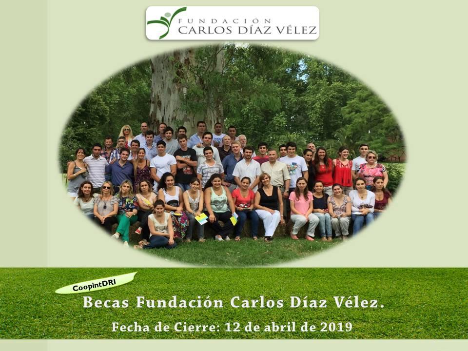 Becas_fundaci%c3%b3n_d%c3%adaz_v%c3%a9lez