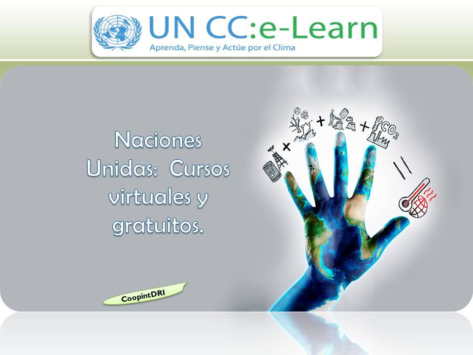 Naciones_unidas_cursos_virtuales