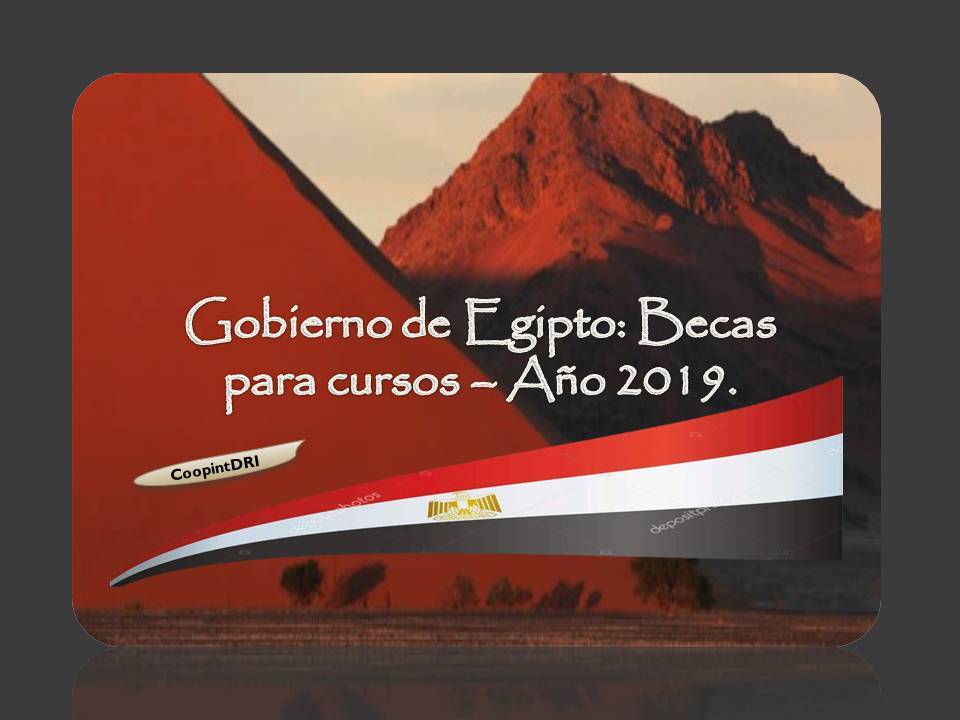 Becas_egipto_cursos_2019
