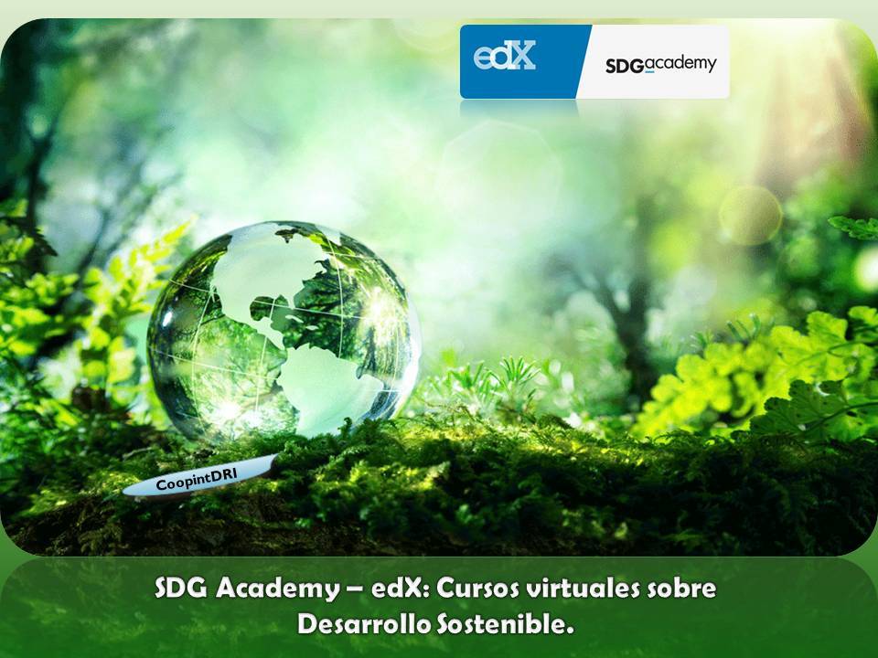 Sdga_edx_cursos_virtuales