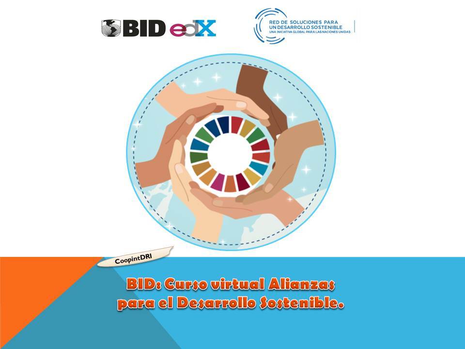 Bid_curso_virtual_alianzas_para_el_desarrollo_sostenible