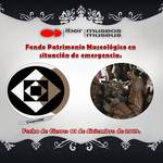 Ibermuseus_fondo_patrimonio_museol%c3%b3gico_2019