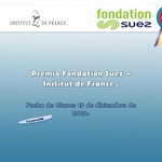 Fundaci%c3%b3n_suez__institut_de_france