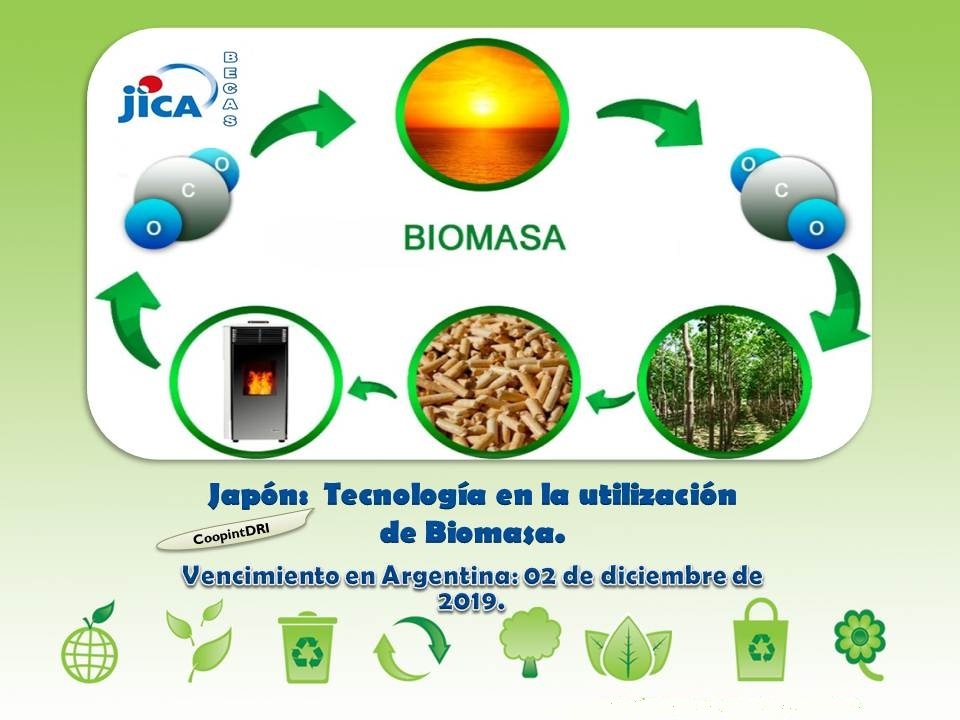 Becas_jica_tecnolog%c3%8da_uso_biomasa_2019