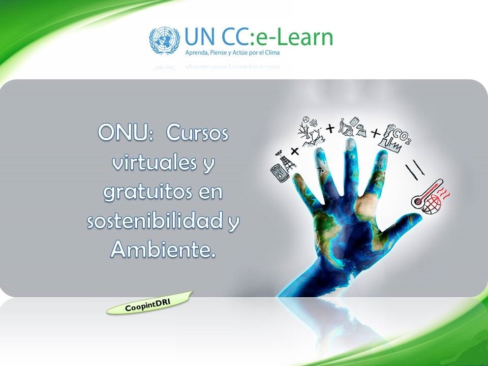 Onu_cursos_sostenibilidad_ambiente