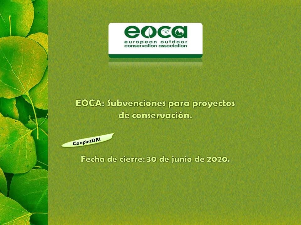 Eoca_subvenciones_2020