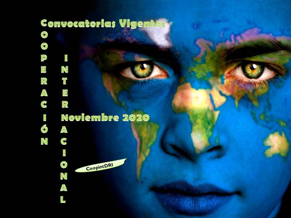 Convocatorias_noviembre_2020
