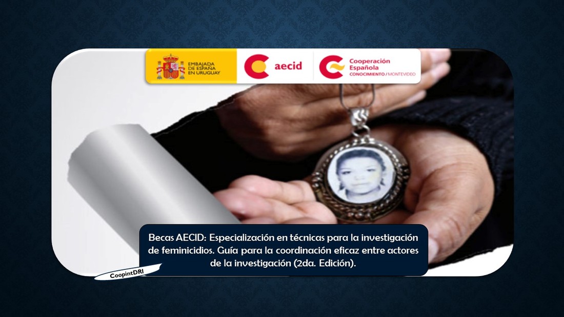 Becas_aecid_investigaci%c3%b2n_feminicidios