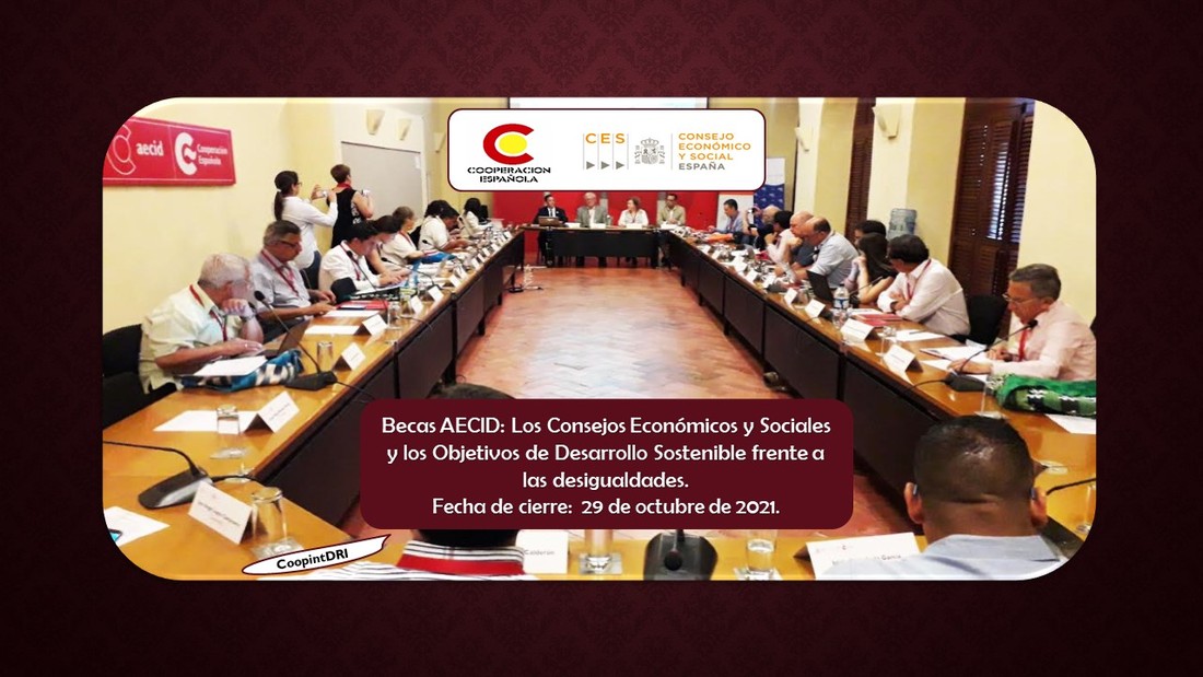 Becas_aecid_consejos_econ%c3%b2micos_sociales