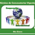 N%c3%b3mina_de_convocatorias_vigentes_enero